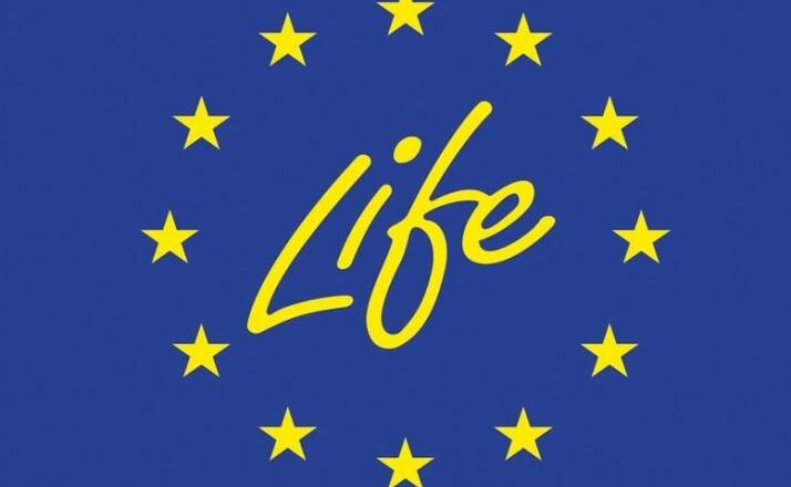 Programma LIFE: investimenti dell’UE per oltre 116 milioni di € in progetti strategici su natura, ambiente e clima