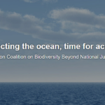 Giornata mondiale degli oceani: dichiarazione congiunta dell’AR/VP Borrell e del Commissario Sinkevičius